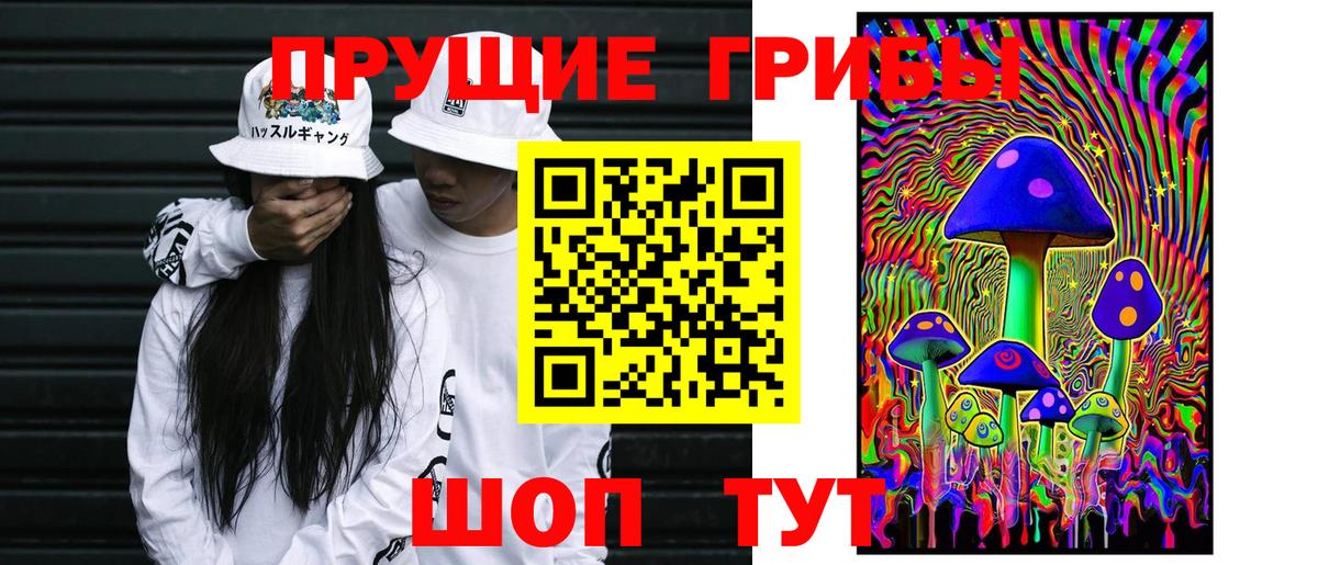 Галлюциногенные грибы Psilocybine cubensis Новый Уренгой